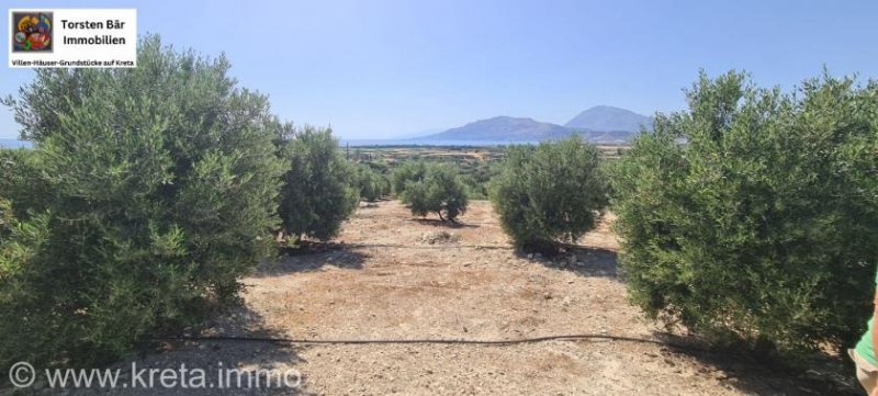 Kamilari Traumhaftes Grundstück mit 360° Panoramablick auf das lybische Meer und den höchsten Berg Kretas, den Psiloritis Grundstück